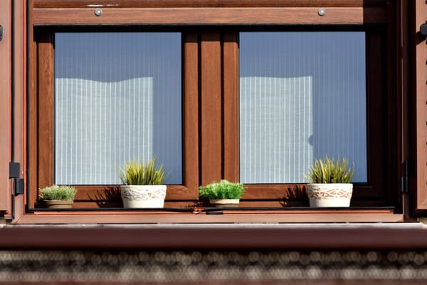 Ventanas